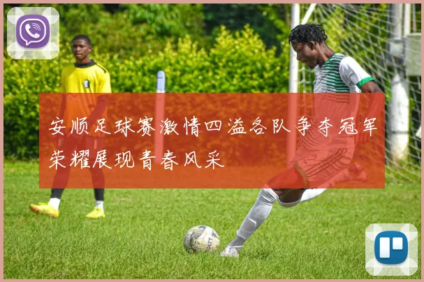 安顺足球赛激情四溢各队争夺冠军荣耀展现青春风采